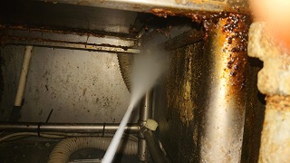 中華ゴキブリ駆除_イメージ